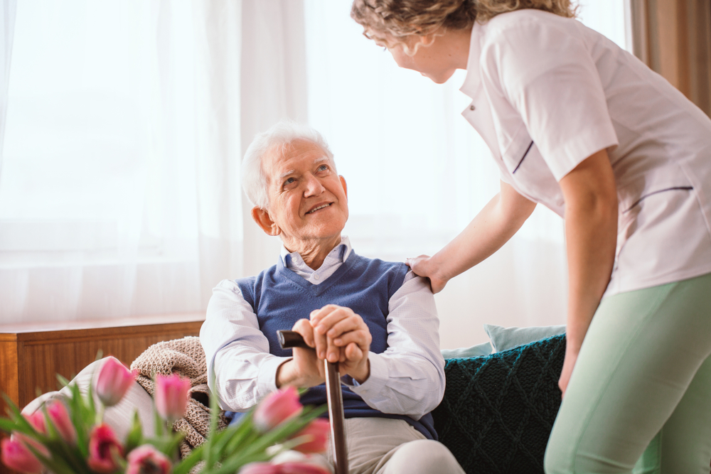 Understanding Palliative Care Services — Compassionate Support for Quality of Life